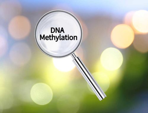 WHAT IS METHYLATION?